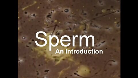 Sperm: An Introduction