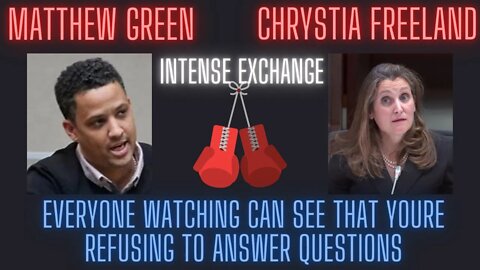 ULTIMATE SHOWDOWN Watch Matthew Green smash Crystia Freeland to bits on the emergency act invocation