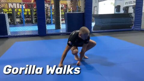 At Home Workouts - Solo BJJ Animal Drills