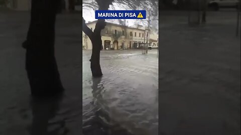 Disastro a Marina di Pisa: il mare entra nuovamente paese #shorts #shortsfeed #shortsvideo