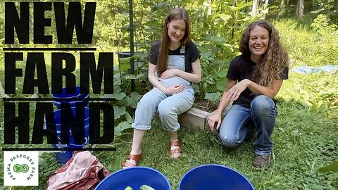 EXCITING Announcement PLUS Summer Permaculture Garden Harvest