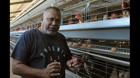 Chicken farmer, Achmat Brinkhuis speaks about the impact of Avian Flu on the industry