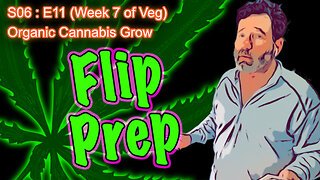 S06 E11 (Day #71) Week 7 of Veg || Preparing for the Flip || Caring for a Runt || BlueMat Soil Meter