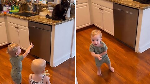 Kid Calls Out Mischievous Cat For Counter-sitting Shenanigans