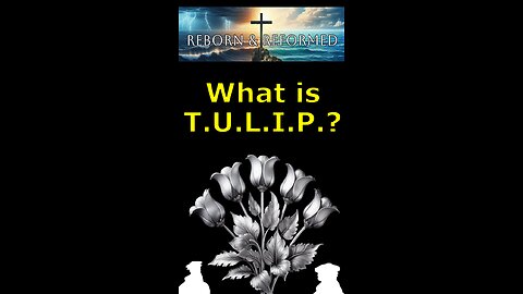 What is TULIP?