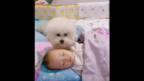 Heart warming and touching love (cute dog and baby)