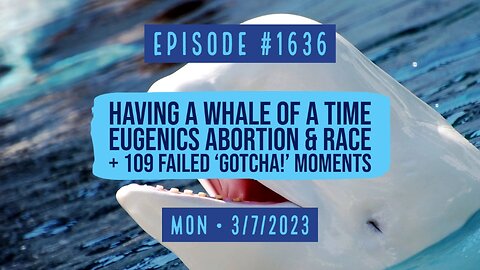 Owen Benjamin | #1636 Having A Whale Of A Time, Eugenics, Abortion & Race + Failed 'Gotcha!'