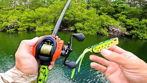 Catching GIANT Bass on FROGS in SMALL Pond!!!