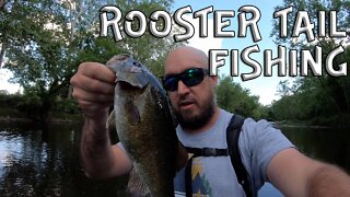 Using NOTHING but rooster tails! (Multi-Species!!)