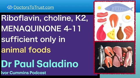 PAUL SALADINO 6 | Riboflavin, choline, K2, MENAQUINONE 4-11 sufficient only in animal foods