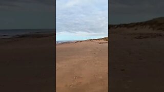 Dalvay beach PEI