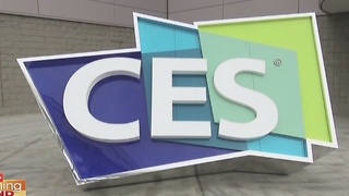 CES