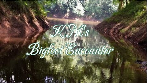 M.K's 2024 Bigfoot Encounter