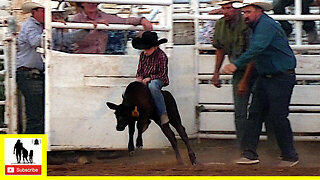 Calf Riding - 2022 Saint's Roost Ranch Rodeo | Friday