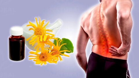 Get Rid of Back Pain With These Effective Natural Remedies