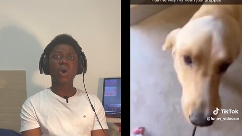 Funny TikTok Videos #1#pet #reaction #cat #cat #tiktok #students #studentreactions