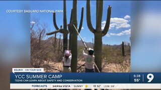 Saguaro National Park's Summer Youth Conservation Corps applications are open