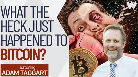 What The Heck Just Happened To Bitcoin? | Adam Taggart