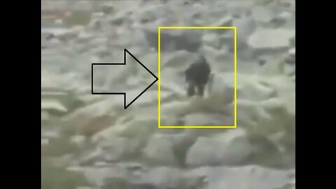 BIGFOOT filmed in Tatra Mountains Poland during early 1990s?!?!?!