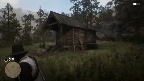 Wolf Hiding in a Shack - Red Dead Redemption 2