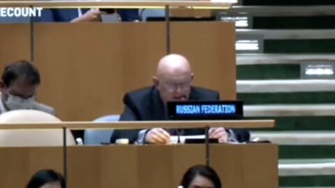 Russian Ambassador to UN Claims Foreign Countries Overthrew President Trump