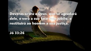 734- Porção Diária e Oração: Os que confiam no Senhor renovarão suas forças.