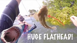 Spearfishing HUGE Flathead With a SPEARGUN!