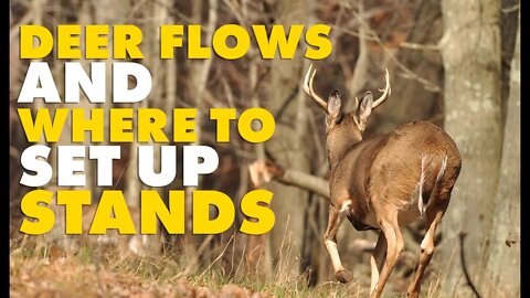 Understand Deer Flows for Stand Locations