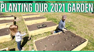 Transplanting our 2021 Garden into our $20 Raised Beds ||Adding some fruit to the property||