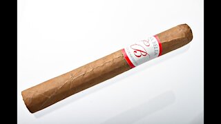 Sindicato Cigars Casa Bella Corona Cigar Review