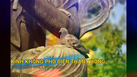 5. Kinh không phô diễn thần thông