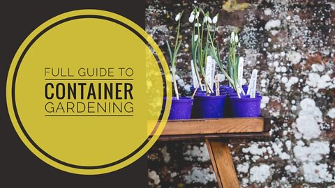 HOW TO START A CONTAINER GARDEN FOR BEGINNERS | COMPLETE GUIDE TO CONTAINER GARDENING IN CANADA