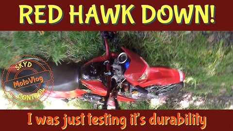 Hawk 250 Dual Sport Ride & CRASH! MotoVlog with bike updates, Woods riding, & Turkeys!