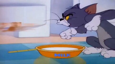 Tom And Jerry Bangla Cartoon New Dubbing Video Funny Tom And Jerry Bangla 7