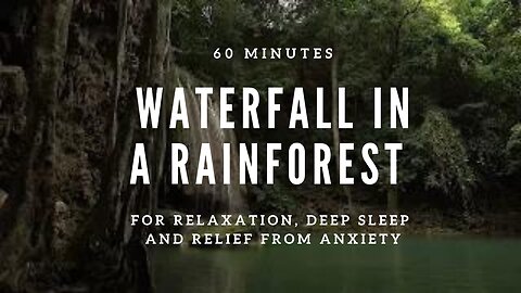 Most RELAXING Sounds of Waterfall in a Rainforest for Relaxation, Deep Sleep and relief from Anxiety