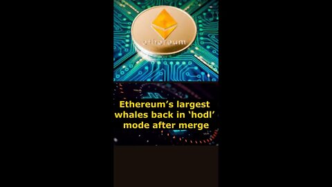 Crypto news on the cryptocurrency market for 11/01/2022 bitcoin news Ethereum Bybit Binance Dogecoin