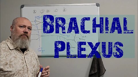 Brachial Plexus