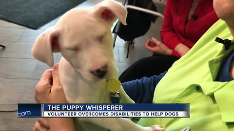 Puppy super powers: Longtime Humane Society volunteer loves greeting visitors