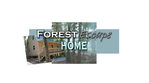 Forest Escape Amish Exterior Cabin Home