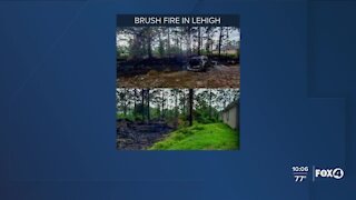 Brush fire in Lehigh Acres