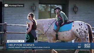 Equine Therapy Farm raising funds during COVID-19
