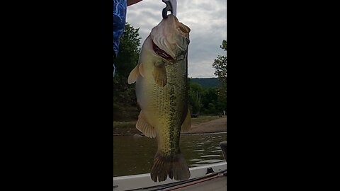 4.23 Pound Bluestone Largemouth 6-11-2022