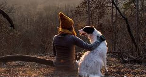 Teaching Dogs to Guard Objects and People, So Interesting