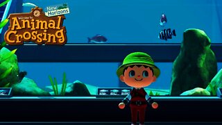 Building & Exploring the Museum in Animal Crossing New Horizons