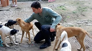 Greenwalds Hundeheim, das von Obdachlosen betrieben wird