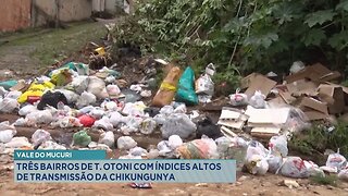 Vale do Mucuri: Três Bairros de T. Otoni com Índices Altos de Transmissão da Chikungunya.