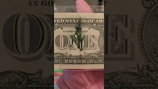 Have you SEEN a Dollar Bill like this before?