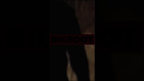 Bigfoot - Real or nor?