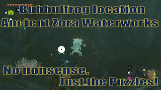 Bubbulfrog location - Ancient Zora Waterworks - East Resevoir Lake | Zelda TOTK