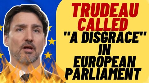 "A Disgrace To Any Democracy", Justin Trudeau Roasted In EU Parliament